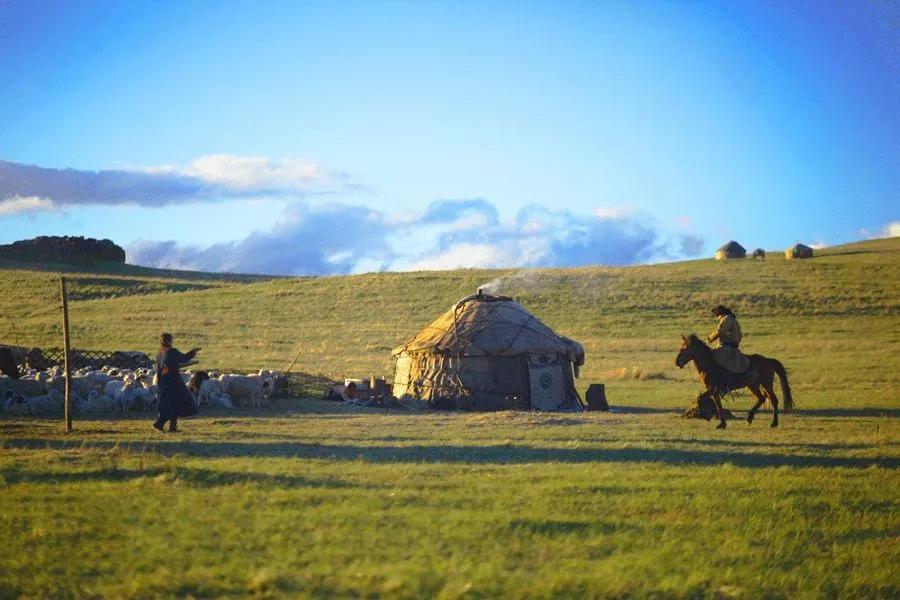 内蒙古，绿色发展典范与和平合作桥梁的内蒙古外交之声