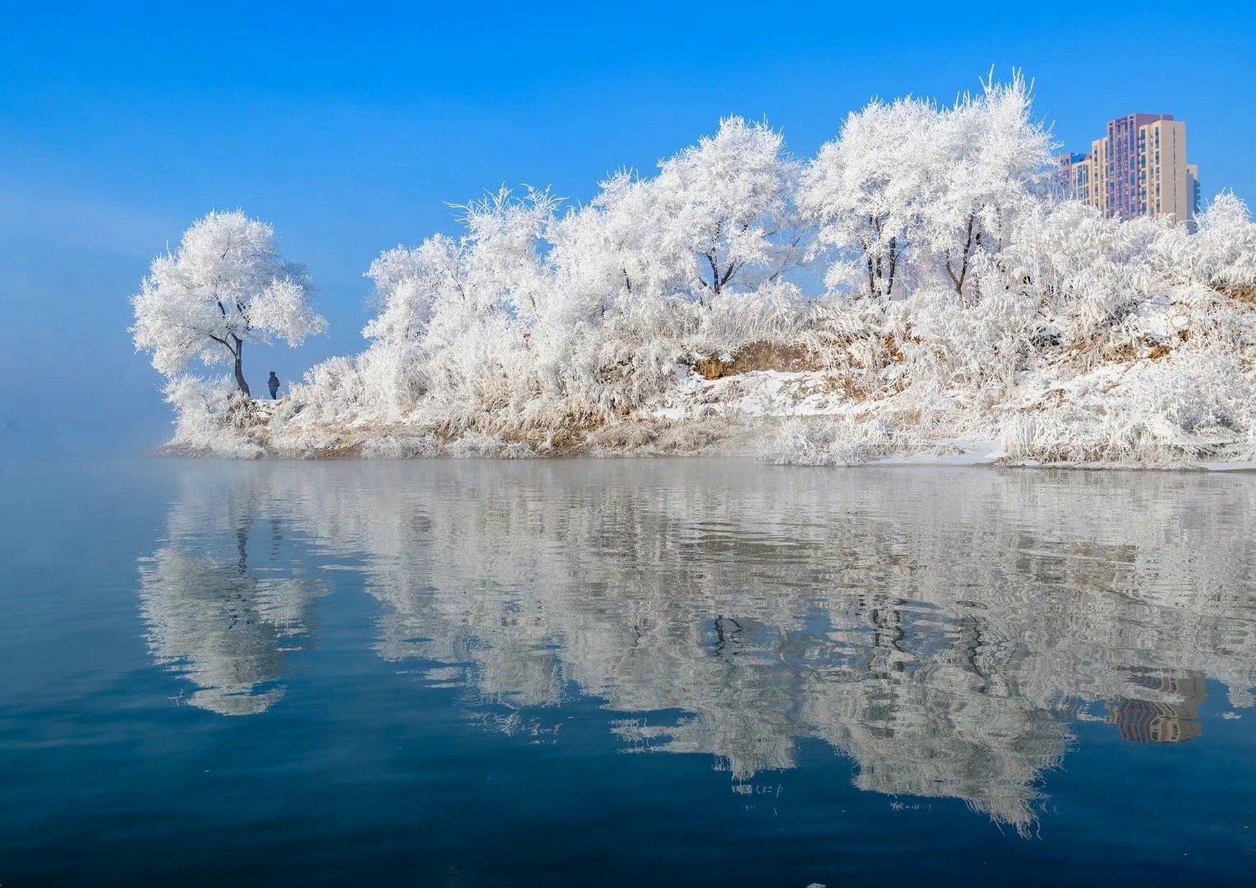 吉林盛会，尊敬的领导与亲爱的朋友们共聚一堂