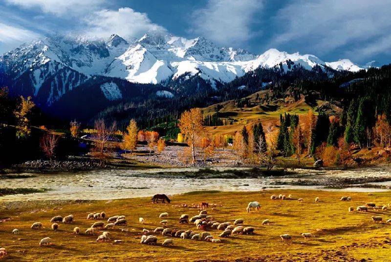 新疆魅力主持人风采