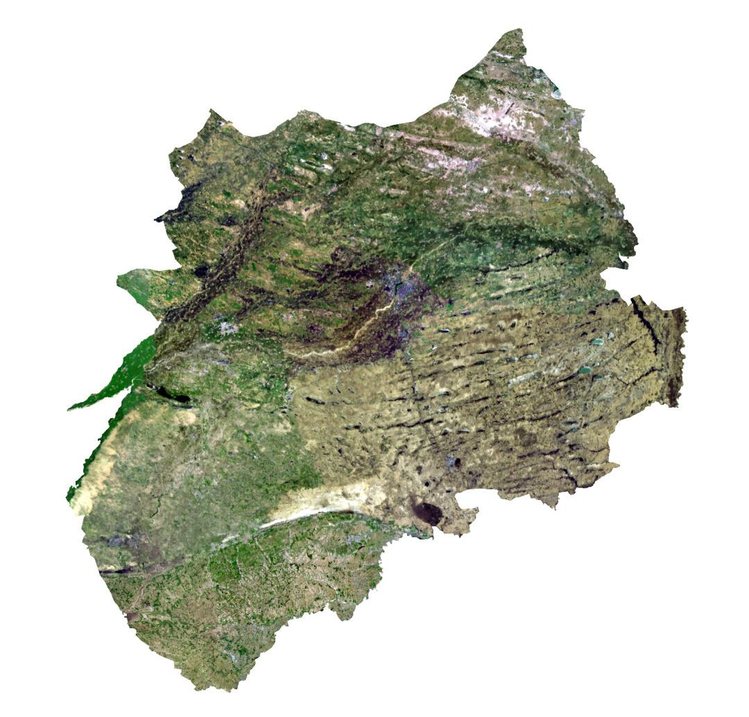 通辽，温馨日常与友谊的纽带