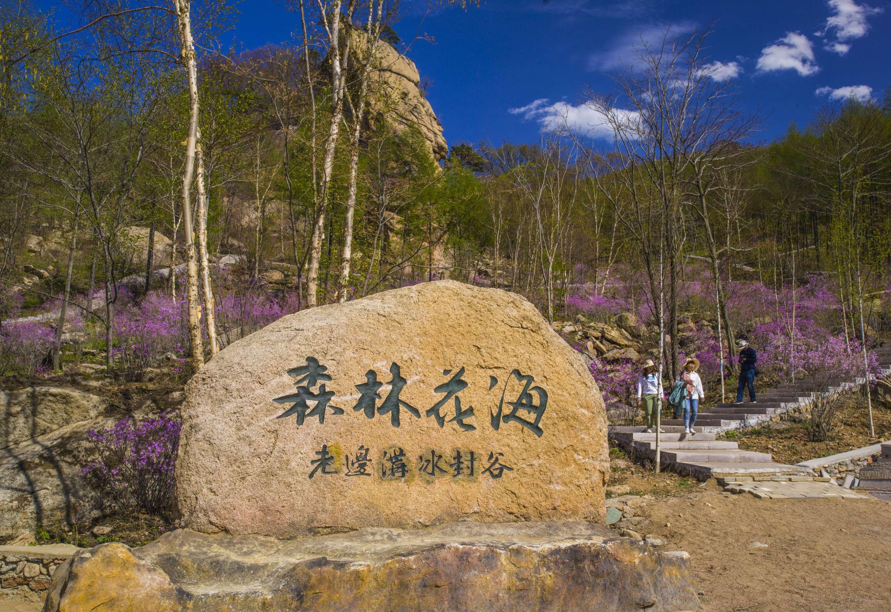 本溪之光,学习变化的力量与自信成长之旅